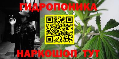 прущие грибы Бузулук