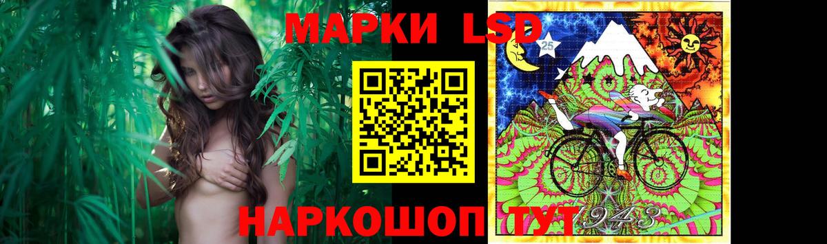 LSD-25 экстази ecstasy  LSD-25 экстази  LSD-25 экстази ecstasy  Заинск  Вход с VPN 