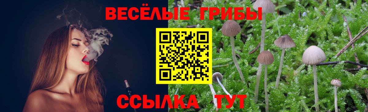 Галлюциногенные грибы Psilocybine cubensis Заинск